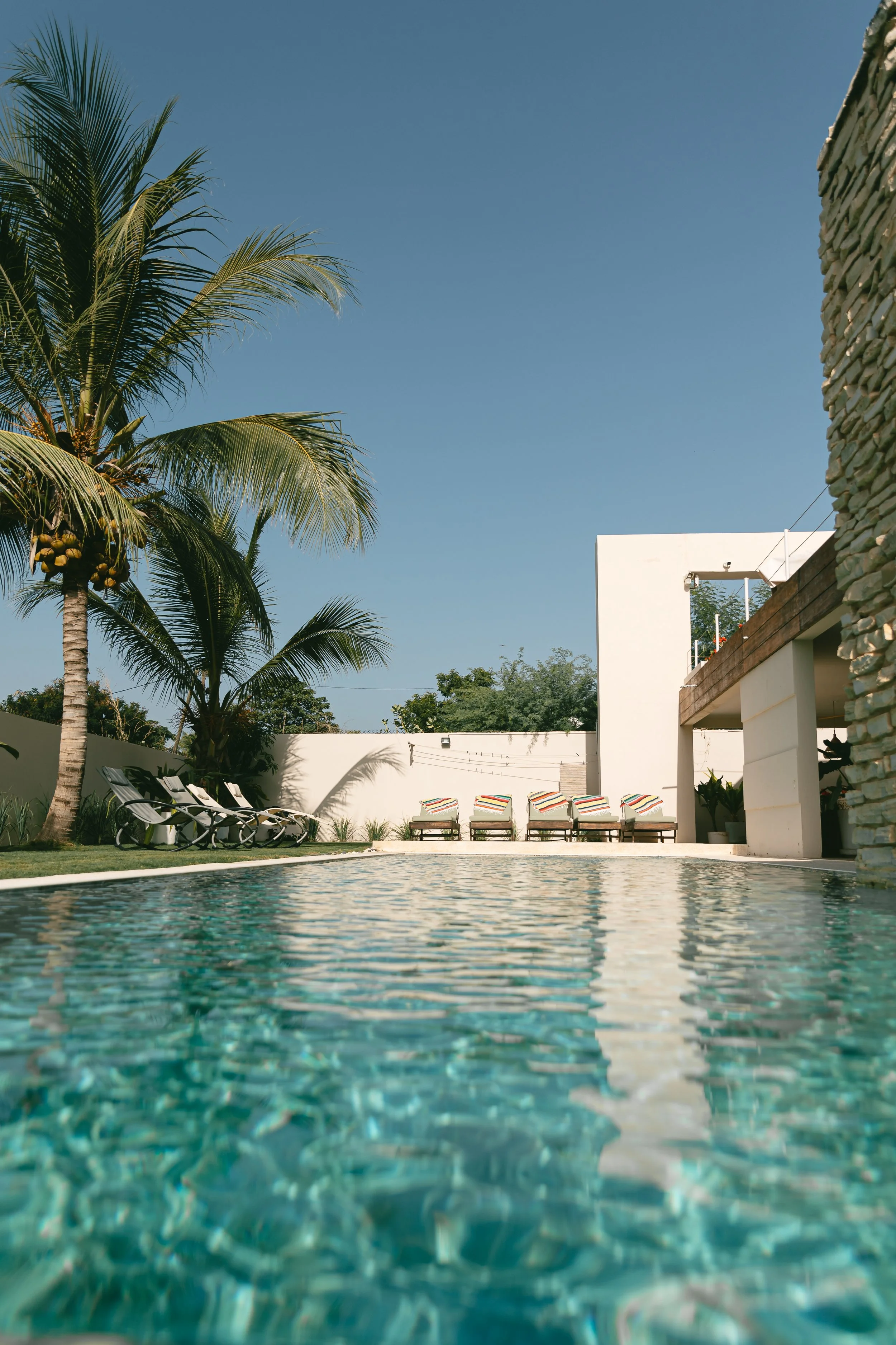 Bord de piscine avec palmier vertical, Villa Samba Ngaparou